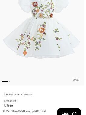 Tulleen Girl's White Embroidered Floral Sparkle Dress
